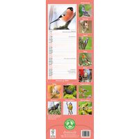 Avonside Sl Kalender 27 Garden Birds PFP as