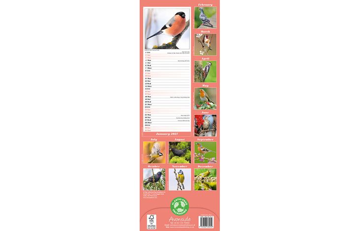 Avonside Sl Kalender 27 Garden Birds PFP as