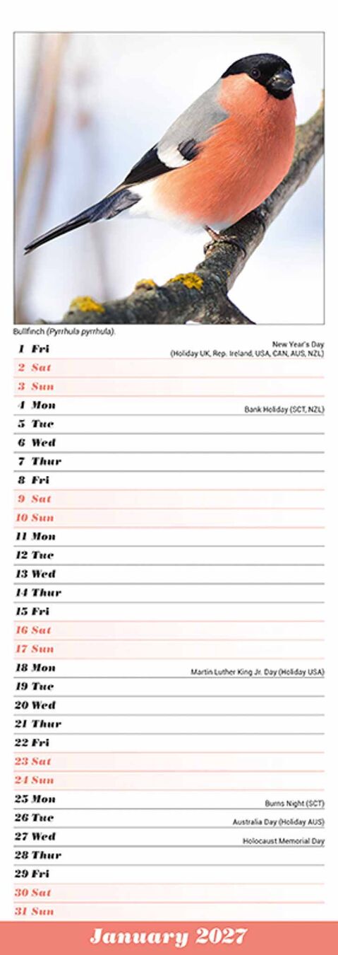 Avonside Sl Kalender 27 Garden Birds PFP as
