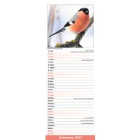 Avonside Sl Kalender 27 Garden Birds PFP as