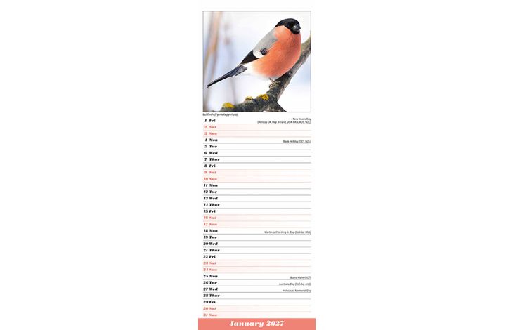 Avonside Sl Kalender 27 Garden Birds PFP as