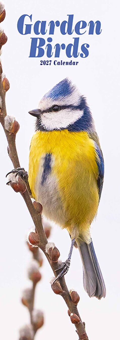 Avonside Sl Kalender 27 Garden Birds PFP as