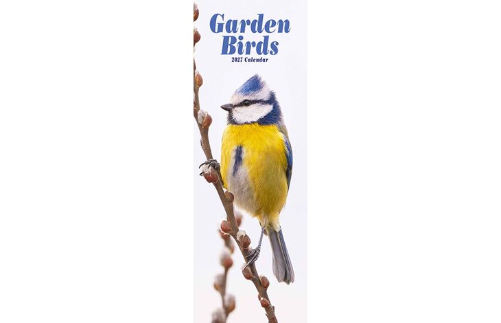 Avonside Sl Kalender 27 Garden Birds PFP as