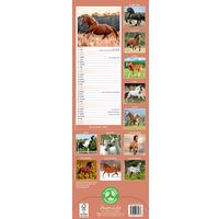 Avonside Sl Kalender 27 Horses PFP as