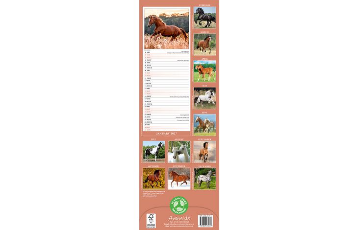 Avonside Sl Kalender 27 Horses PFP as