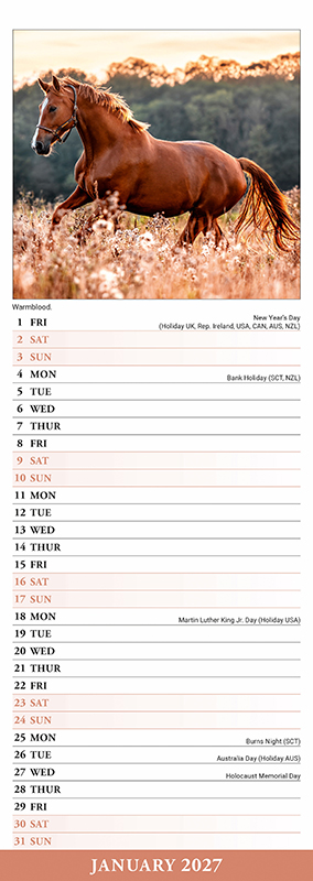 Avonside Sl Kalender 27 Horses PFP as