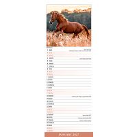 Avonside Sl Kalender 27 Horses PFP as