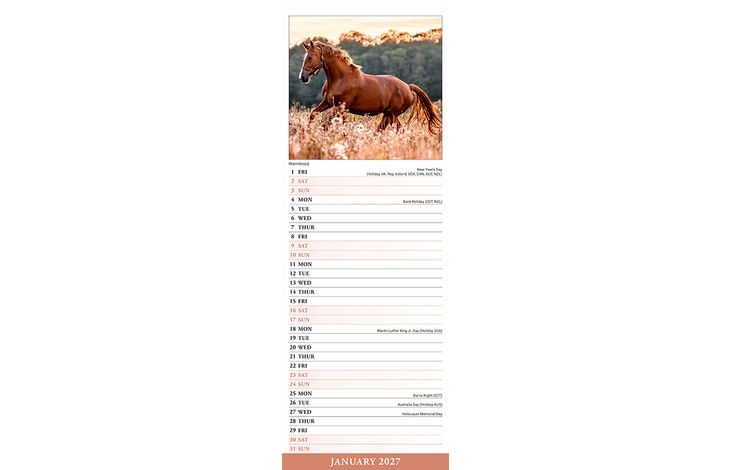 Avonside Sl Kalender 27 Horses PFP as