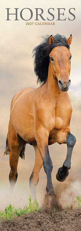 Avonside Sl Kalender 27 Horses PFP as