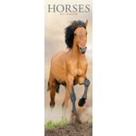 Sl Kalender 27 Horses PFP as