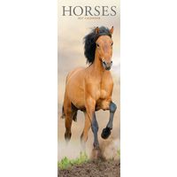 Avonside Sl Kalender 27 Horses PFP as
