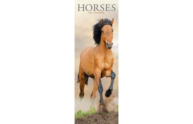 Avonside Sl Kalender 27 Horses PFP as