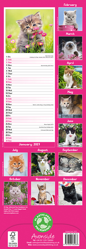 Avonside Sl Kalender 27 Kittens PFP as