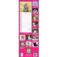 Avonside Sl Kalender 27 Kittens PFP as