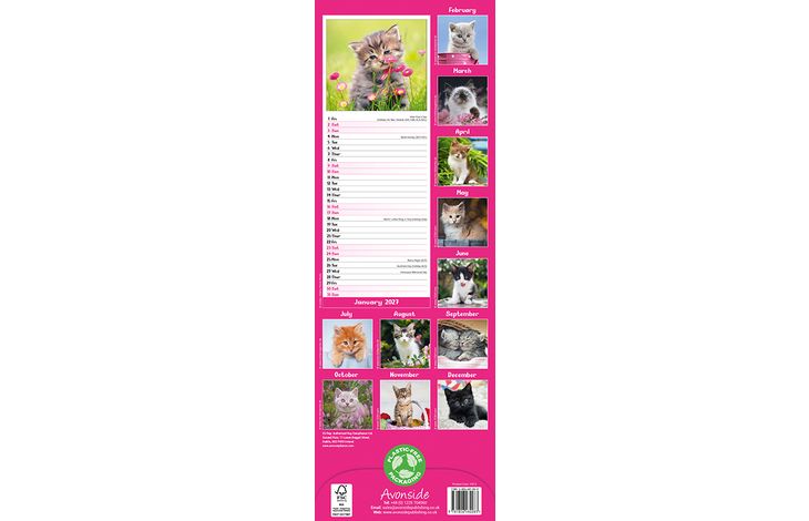 Avonside Sl Kalender 27 Kittens PFP as