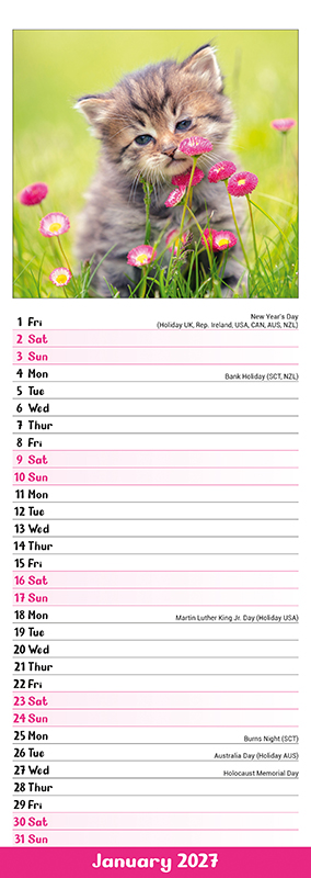 Avonside Sl Kalender 27 Kittens PFP as