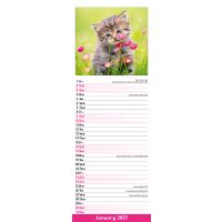 Avonside Sl Kalender 27 Kittens PFP as
