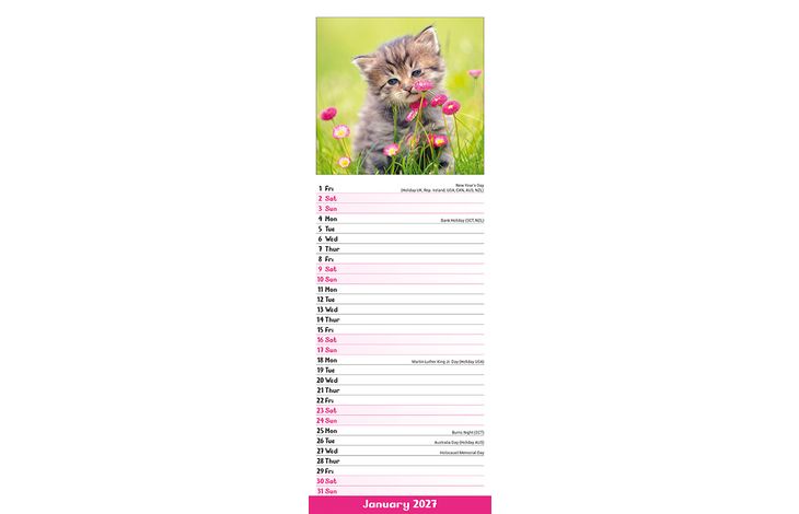 Avonside Sl Kalender 27 Kittens PFP as