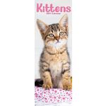 Sl Kalender 27 Kittens PFP as