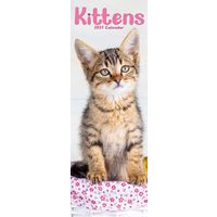 Avonside Sl Kalender 27 Kittens PFP as