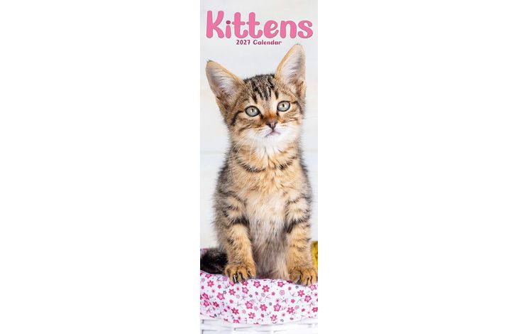 Avonside Sl Kalender 27 Kittens PFP as