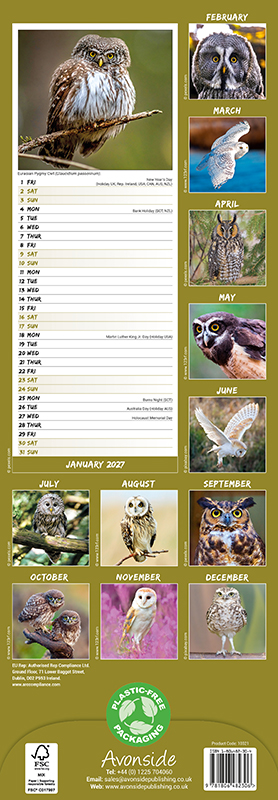 Avonside Sl Kalender 27 Owls PFP as