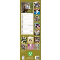 Avonside Sl Kalender 27 Owls PFP as