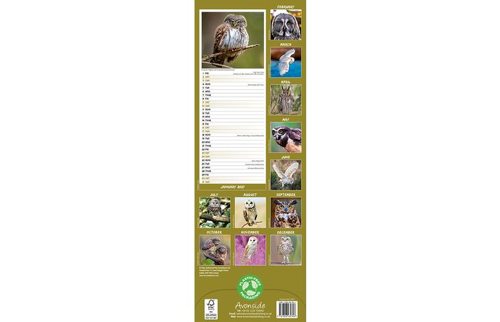 Avonside Sl Kalender 27 Owls PFP as
