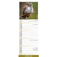 Avonside Sl Kalender 27 Owls PFP as