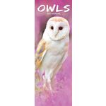 Sl Kalender 27 Owls PFP as