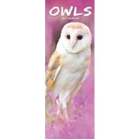 Avonside Sl Kalender 27 Owls PFP as