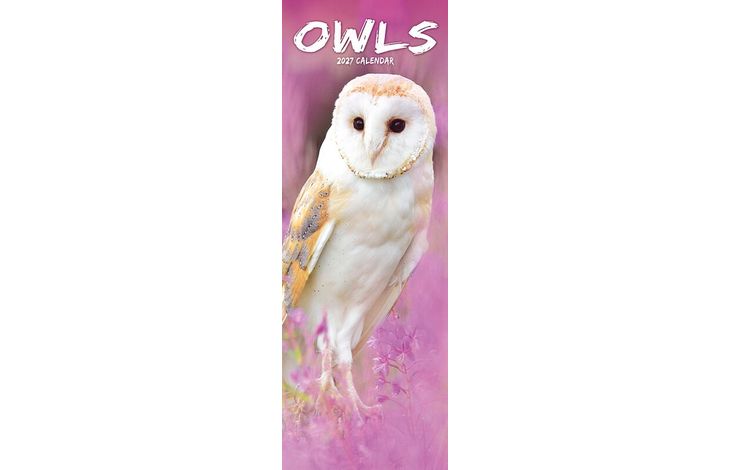 Avonside Sl Kalender 27 Owls PFP as