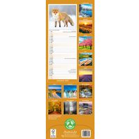 Avonside Sl Kalender 27 Seasons PFP as