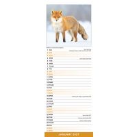 Avonside Sl Kalender 27 Seasons PFP as