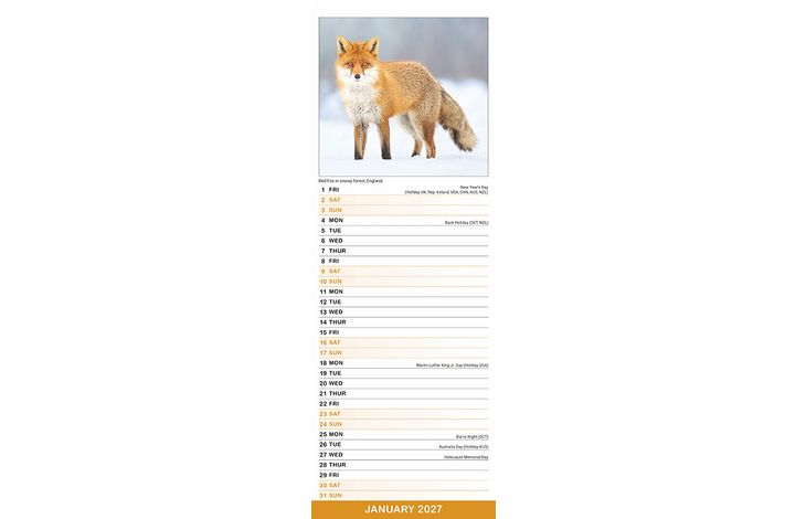 Avonside Sl Kalender 27 Seasons PFP as