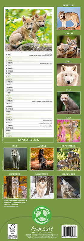 Avonside Sl Kalender 27 Wolves PFP as