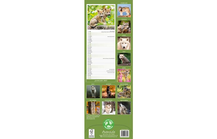 Avonside Sl Kalender 27 Wolves PFP as