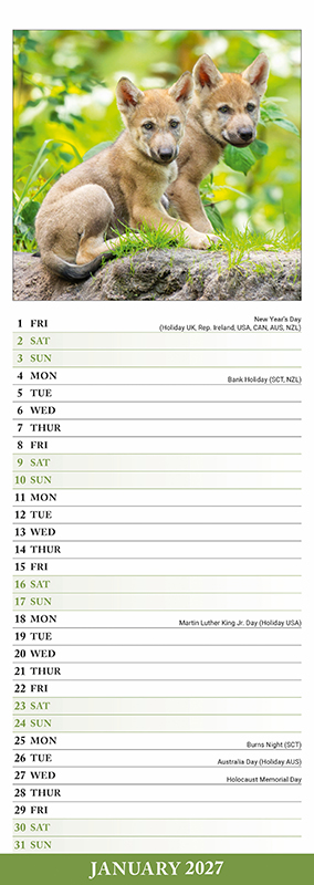 Avonside Sl Kalender 27 Wolves PFP as