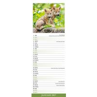Avonside Sl Kalender 27 Wolves PFP as