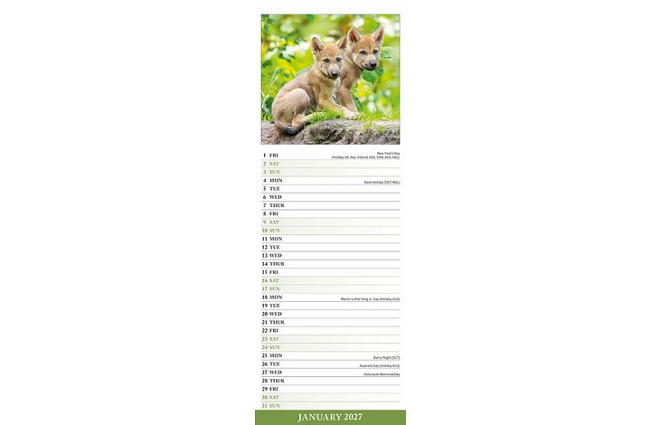 Avonside Sl Kalender 27 Wolves PFP as
