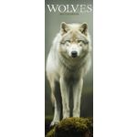 Sl Kalender 27 Wolves PFP as