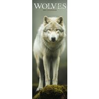 Avonside Sl Kalender 27 Wolves PFP as
