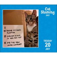 Flame Tree Publishing Boxed 27 Cat Shaming amp