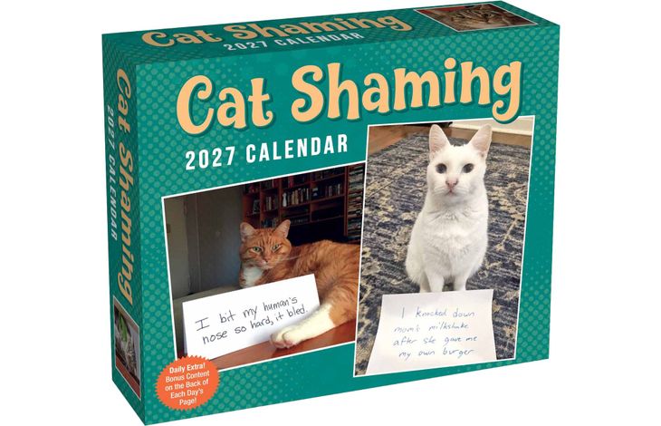 Flame Tree Publishing Boxed 27 Cat Shaming amp