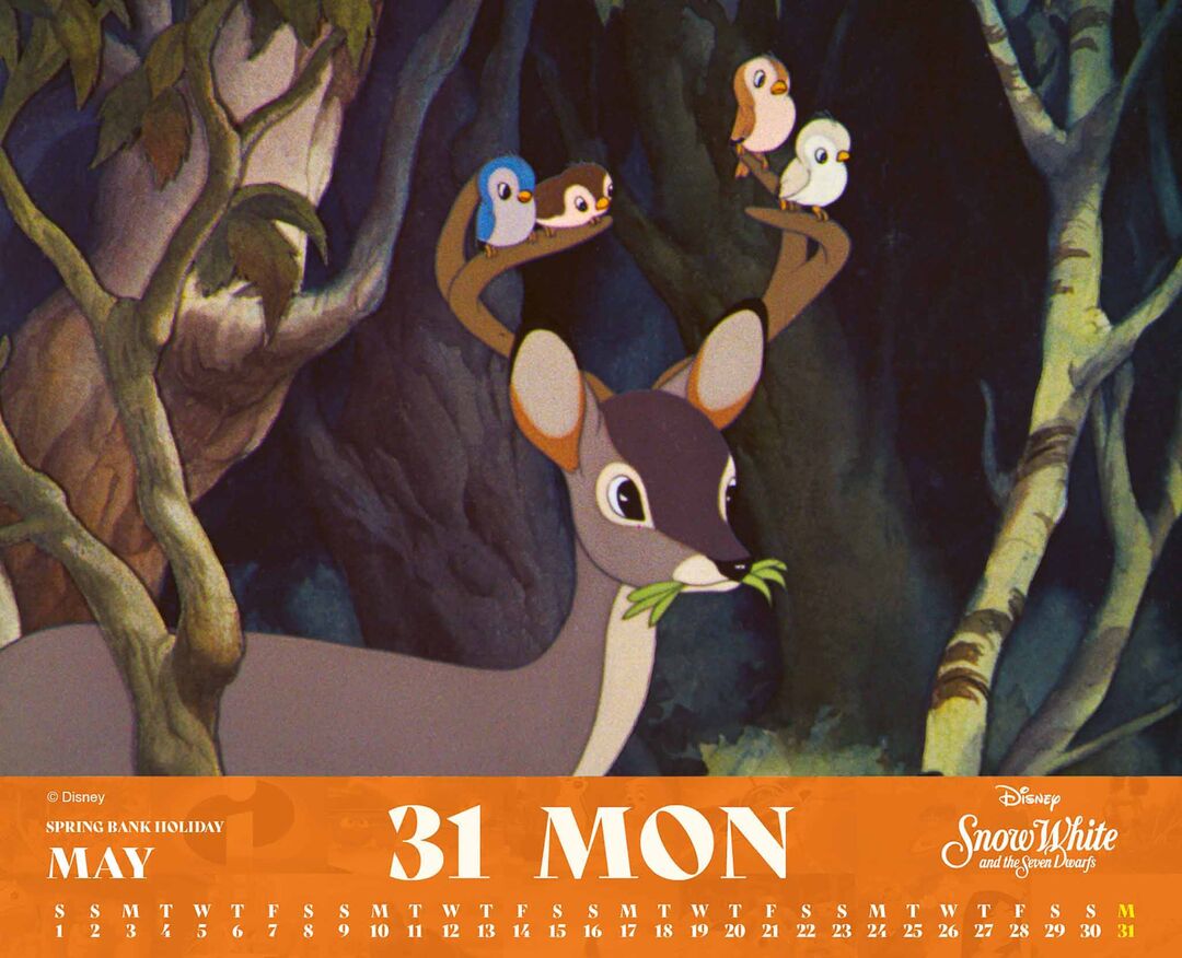 Danilo Boxed 27 Disney dnl