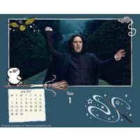 Danilo Boxed 27 Harry Potter dnl