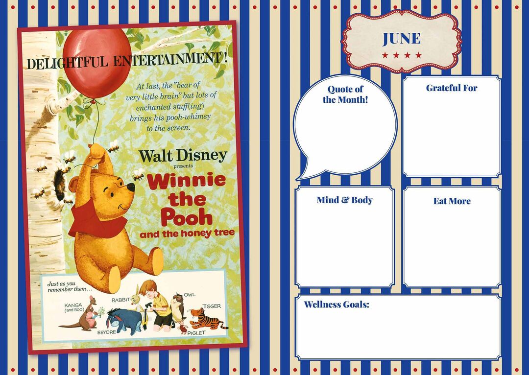 Danilo Agenda 27 Disney Vintage Posters dnl