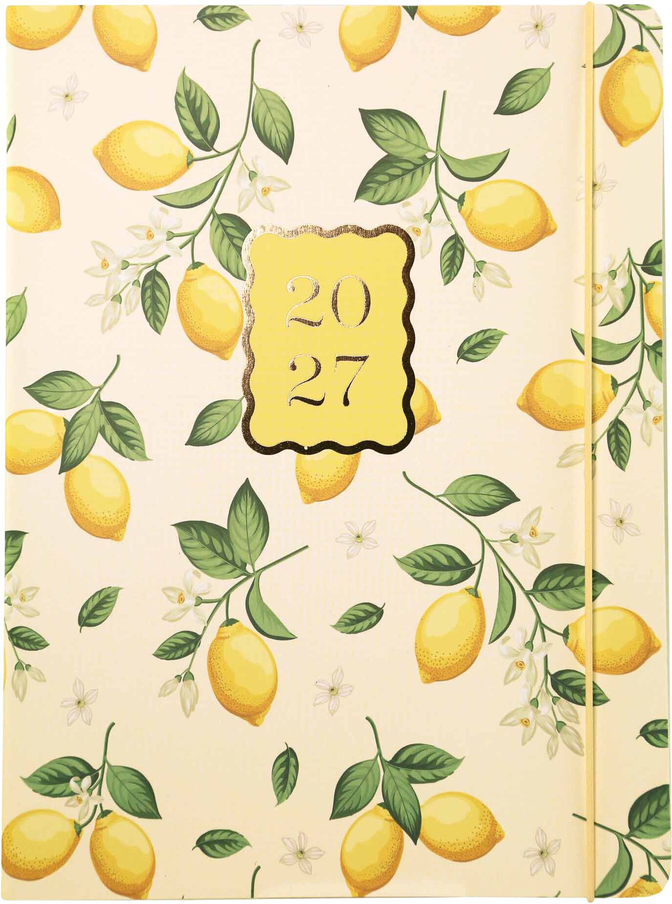 Graphique De France Agenda 27 Lemons 18 mnd L