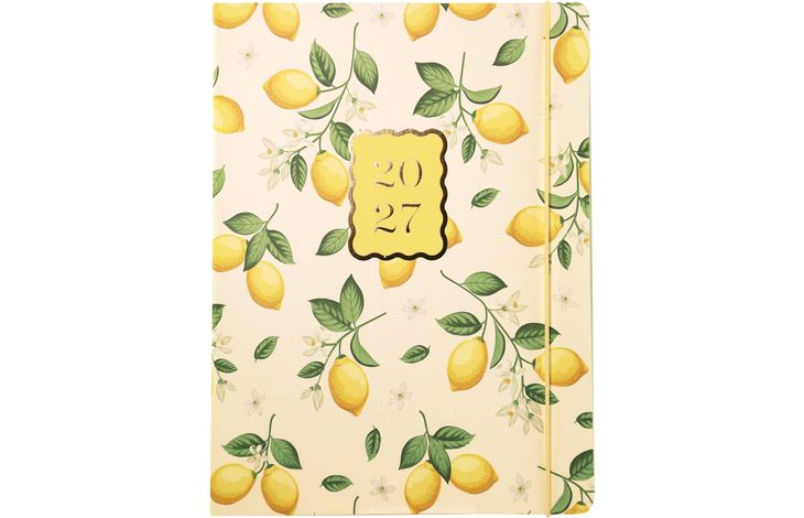Graphique De France Agenda 27 Lemons 18 mnd L