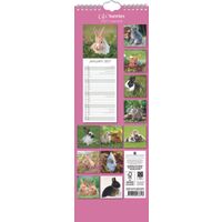 The Gifted Stationery Sl Kalender 27 Cute Bunnies gtd